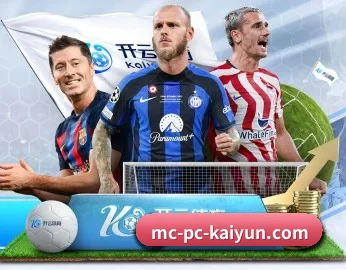 开云体育 APP 深度功能(kaiyun)